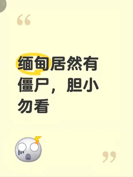 缅甸僵尸出土事件高清无删减免费播放 - 揭秘缅北神秘事件真相 - 缅甸僵尸出土事件完整版在线观看