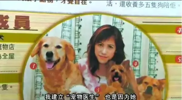 《女人与狗》HD高清正片播放-未删减版-免费在线观看1080P超清画质，体验催泪人狗羁绊