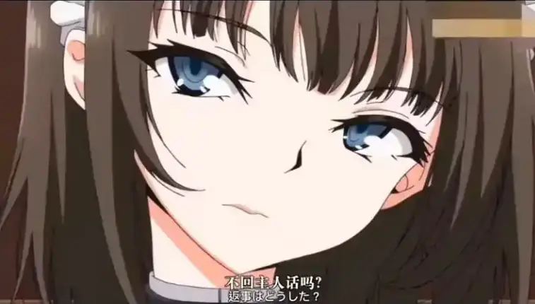 《女仆的教育》动漫第一季【1-12】全集在线观看-女仆的教育无删减HD高清播放-萌系ACG动画1080P完整版资源