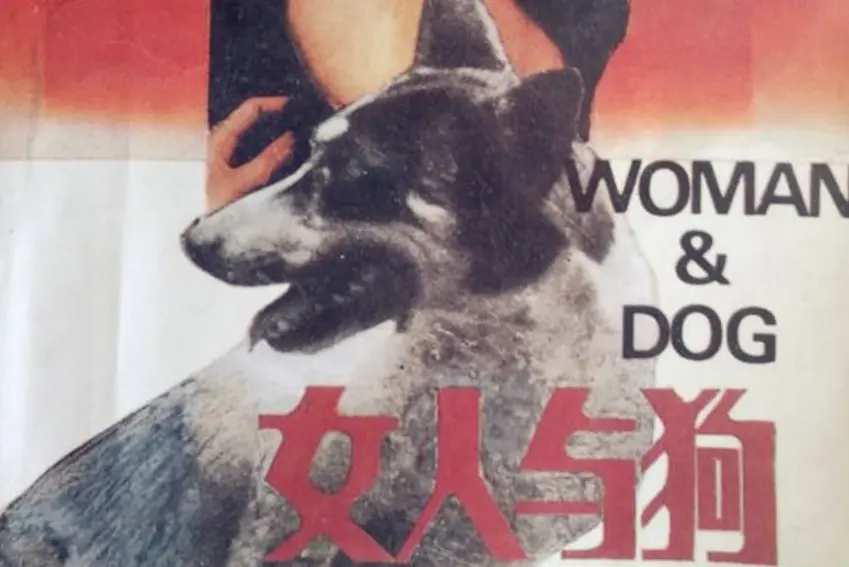 《女人与狗俄罗斯电影》1080P高清在线观看-《女人与狗》完整版无删减播放-免费观看高清画质资源