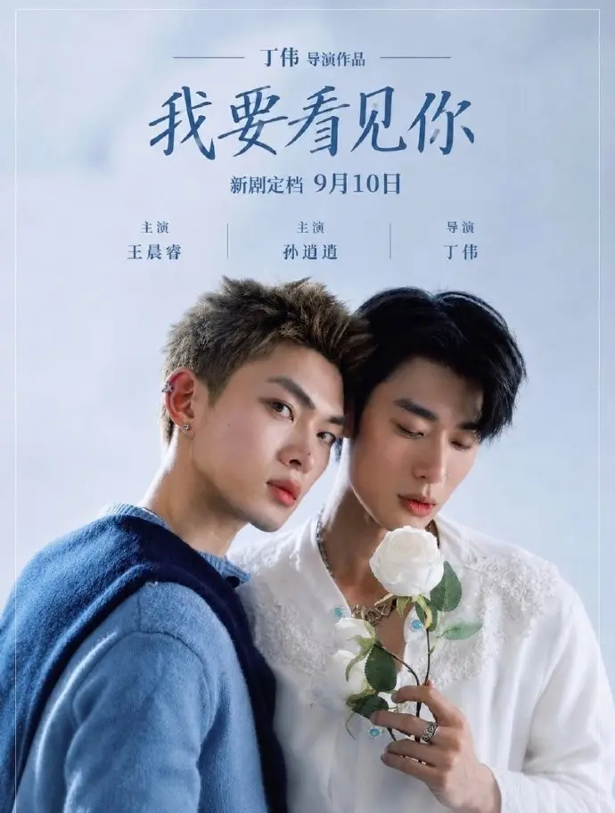 《我要看见你》台剧免费观看完整版-我要看见你HD中字高清在线-2026双男主电视剧全集-VS影院迅雷下载
