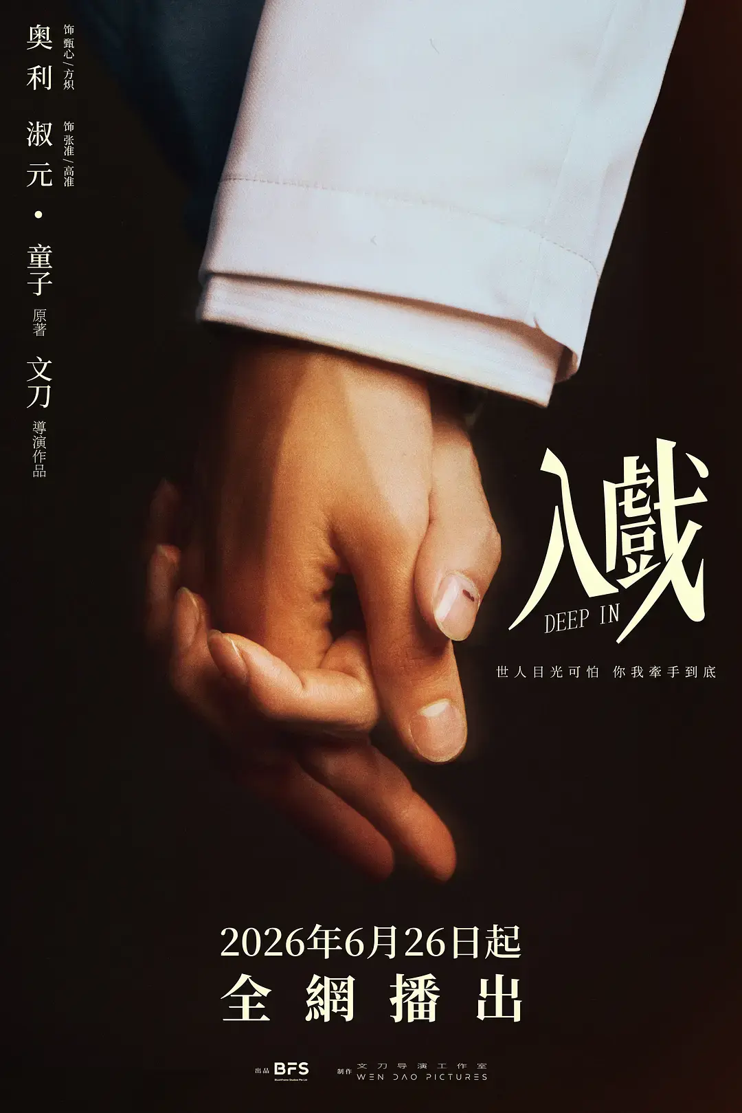 《入戏》2026双男主剧全集在线观看-HD高清1080P无删减播放-爱情短剧《入戏》免费正片完整版