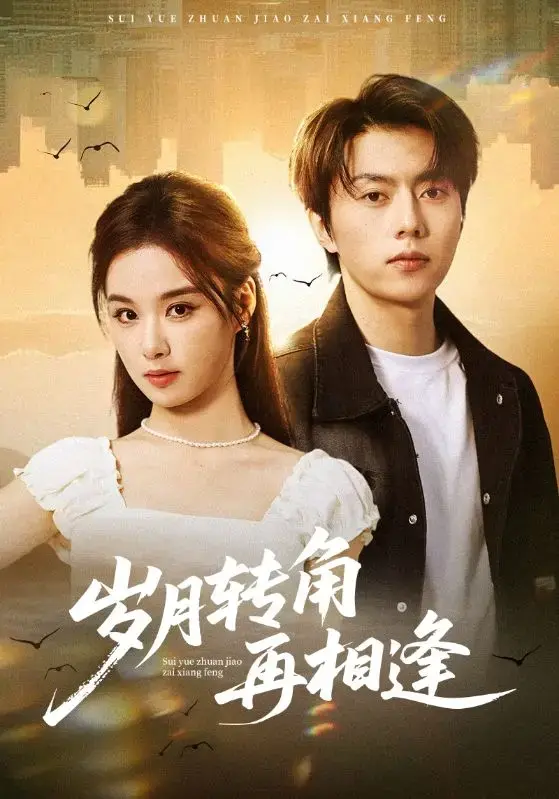 《岁月转角再相逢》全24集无删减免费看-高清完整版《岁月转角再相逢》在线观看-都市短剧张磊王宇婧主演
