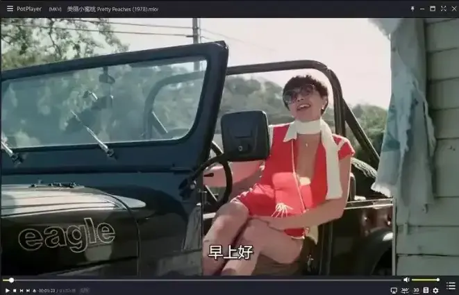 《美丽小蜜桃》未删减版免费观看-美国复古喜剧电影高清中字完整版-在线播放
