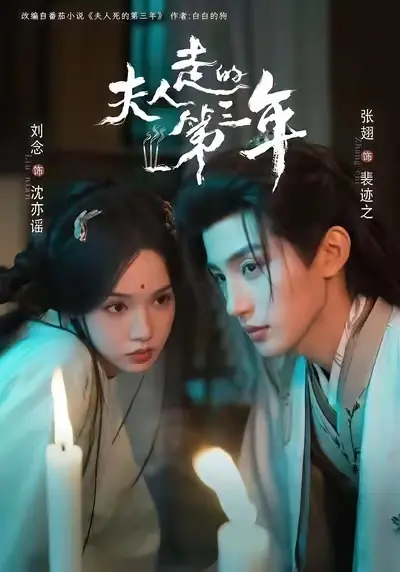 《夫人走的第三年》全集免费观看-1080P高清无删减在线播放-《夫人走的第三年》未删减版完整资源-网盘下载无套路分享