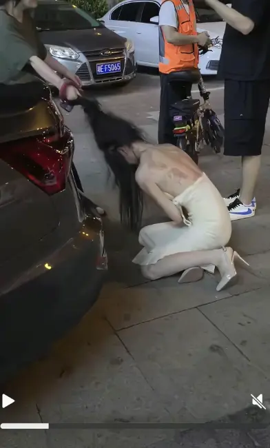 《白裙女子被抓头发跳河》完整版在线播放-白裙女子被揪头发坠河后续全记录-湘E车牌事件始末无删减高清免费观看