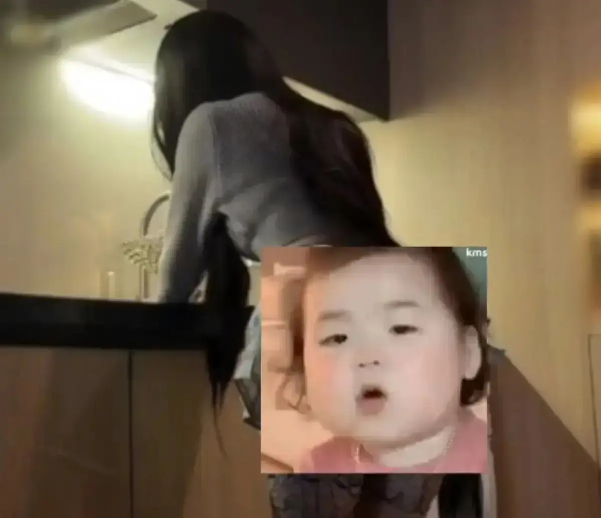 《狗爹和小桃》萌宠日常vlog完整版免费播放-1080P高清画质无广告观看资源