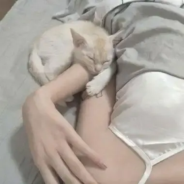 森泽佳奈高清全集未删减中文版免费在线观看无广告网盘资源